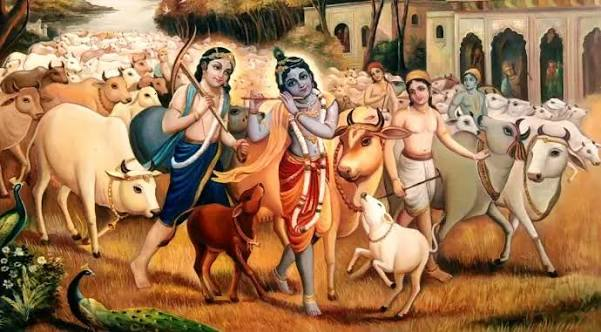 Krishna's Cows