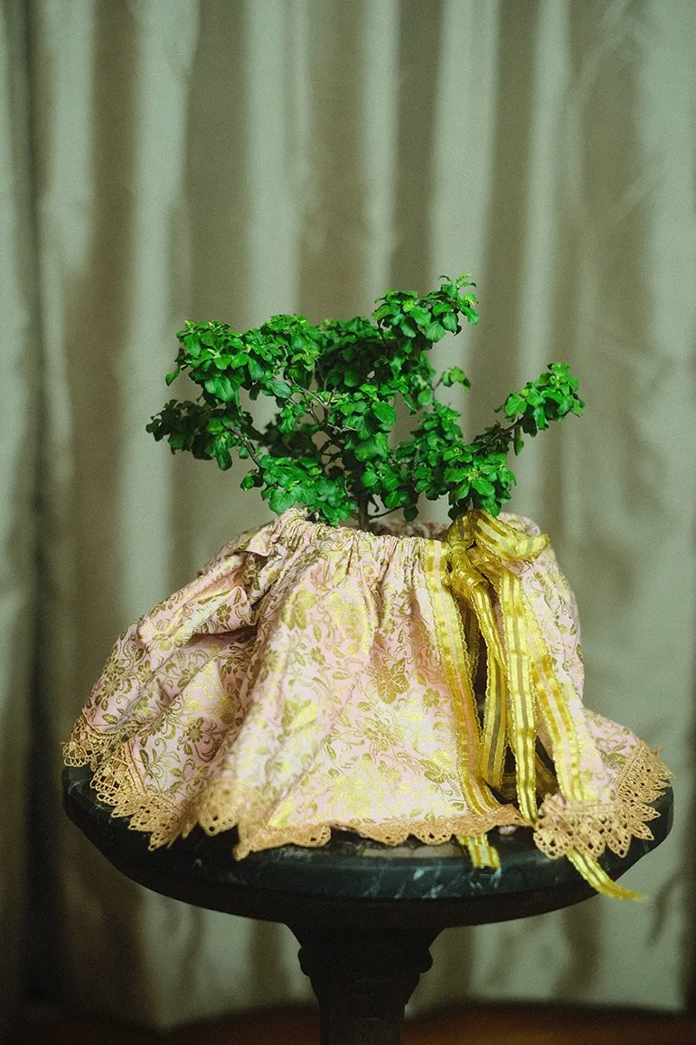 Tulsi Worship