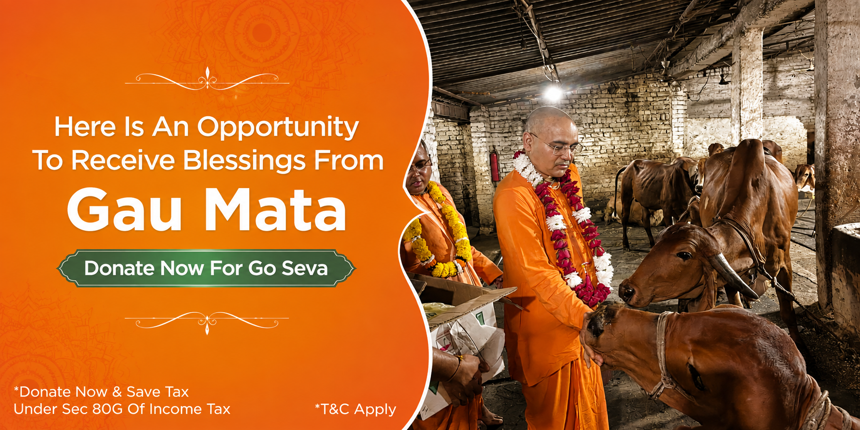 Here Is An Opportunity To Receive Blessings From Gau Mata - Donate Now For Go Seva